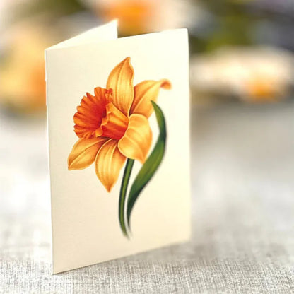 Amour Éternel™ - Bouquet de Fleurs Immortelles